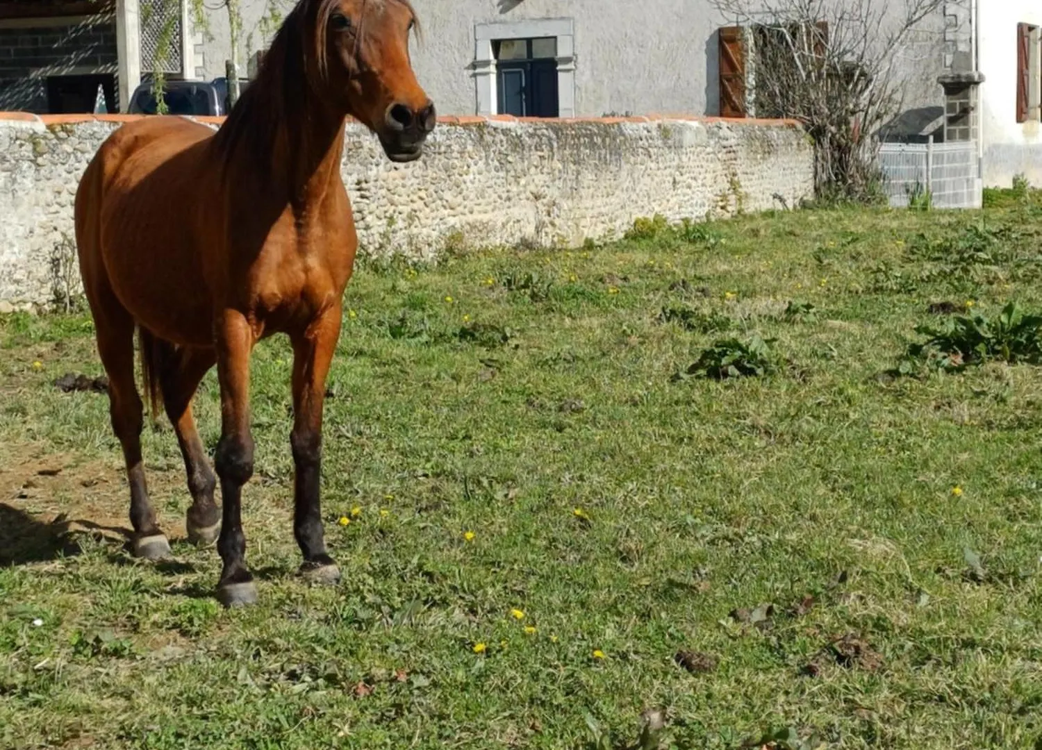 Des Racines Et Des Reves Villa Vidou